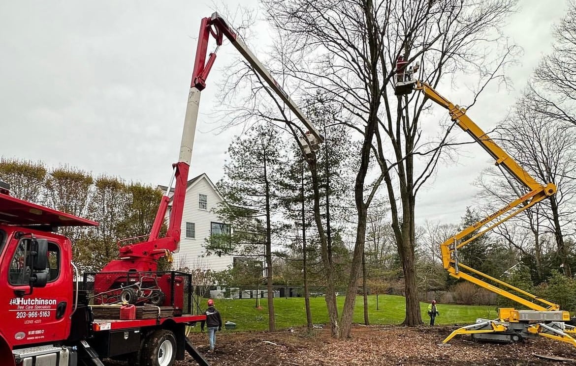 Bucket truck & Spider lift working together