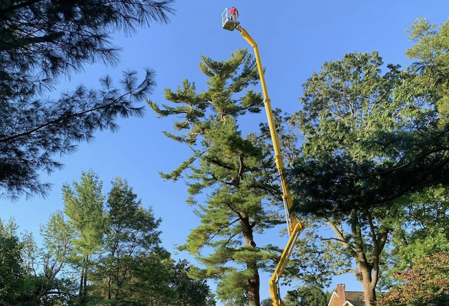 Tracked Lifts Arborist Lifts 1