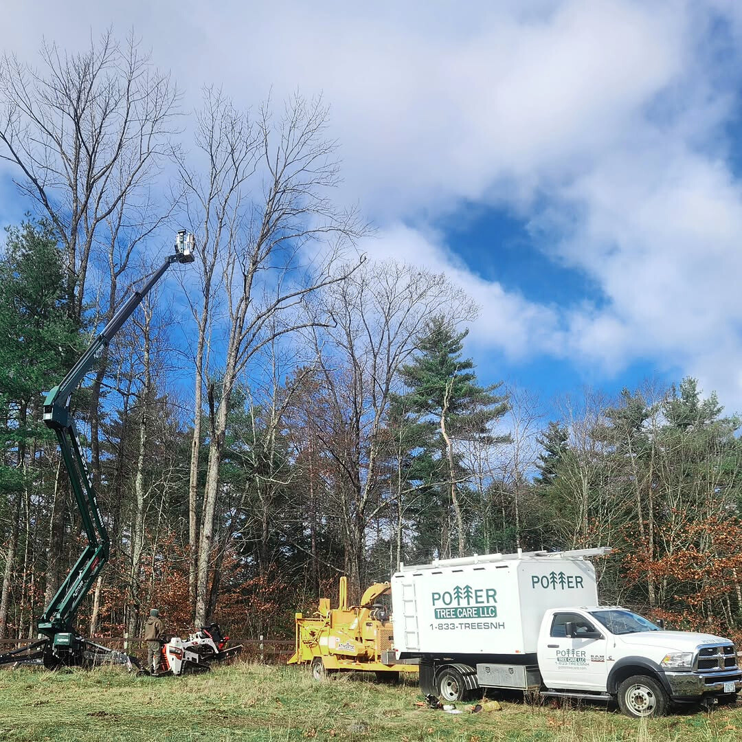 towable tree lift