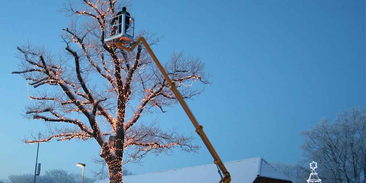 Decorating tree for Christmas using aerial lift