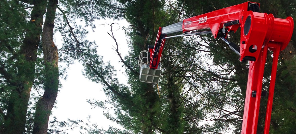 Red 22.10 Platform Basket at work in trees